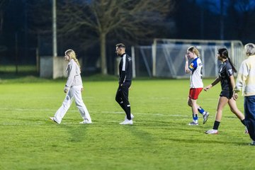 Bild 368 - wBJ Hamburger SV - Eimsbuettler TV : Ergebnis: 4:0